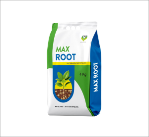 Root Zone 